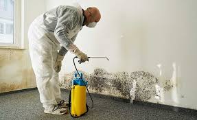 Why You Should Choose Our Mold Remediation Services in West View, PA